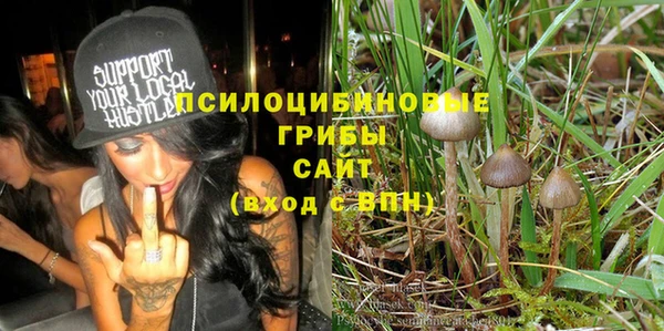 мдпв Балахна