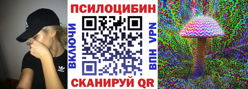 дарк нет какой сайт  OMG маркетплейс  Волчанск  Галлюциногенные грибы Psilocybine cubensis 